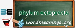 WordMeaning blackboard for phylum ectoprocta